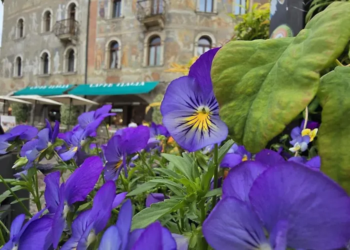 Casa Bissen In Centro Apartman *